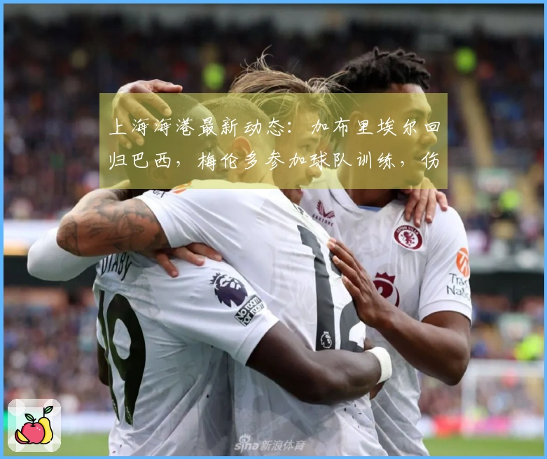 上海海港最新动态：加布里埃尔回归巴西，梅伦多参加球队训练，伤病人数超过十人
