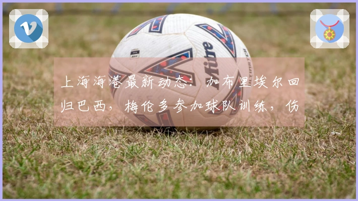 上海海港最新动态：加布里埃尔回归巴西，梅伦多参加球队训练，伤病人数超过十人